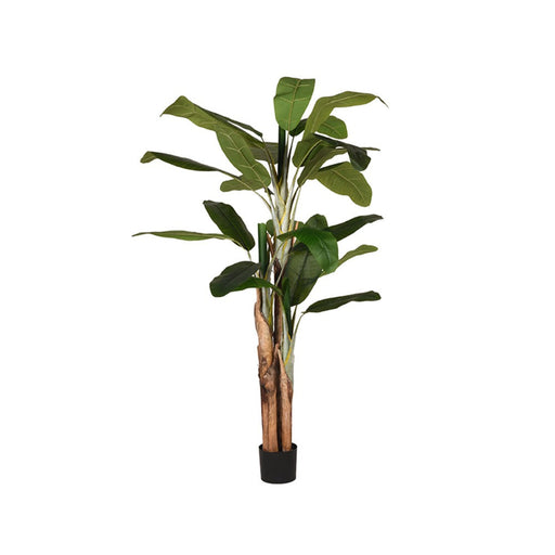 Label51 Musa - Groen - Kunststof - 180 cm-Kunstplanten-LABEL51