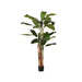 Label51 Musa - Groen - Kunststof - 180 cm-Kunstplanten-LABEL51