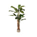 Label51 Musa - Groen - Kunststof - 180 cm-Kunstplanten-LABEL51