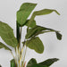 Label51 Musa - Groen - Kunststof - 180 cm-Kunstplanten-LABEL51