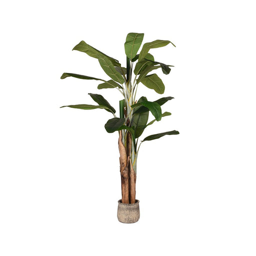 Label51 Musa - Groen - Kunststof - 180 cm-Kunstplanten-LABEL51