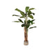 Label51 Musa - Groen - Kunststof - 180 cm-Kunstplanten-LABEL51