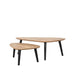 Label51 Salontafel Rock - Rough - Mangohout-Salontafels-LABEL51