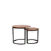Label51 Salontafel Set Duo - Rough - Hout-Salontafels-LABEL51