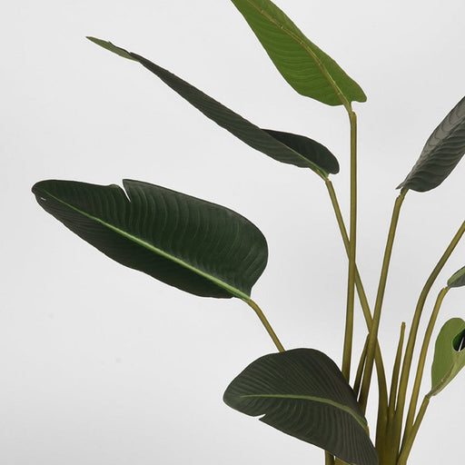 Label51 Strelitzia - Groen - Kunststof - 100 cm-Kunstplanten-LABEL51