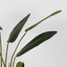 Label51 Strelitzia - Groen - Kunststof - 100 cm-Kunstplanten-LABEL51