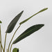 Label51 Strelitzia - Groen - Kunststof - 100 cm-Kunstplanten-LABEL51