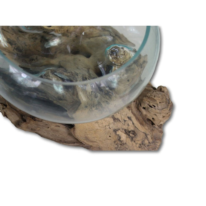 Vaas op wortelhout - ø30x23 - Naturel - Teakhout/glas-Vazen-HSM Collection