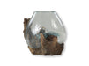 Vaas op wortelhout - ø30x23 - Naturel - Teakhout/glas-Vazen-HSM Collection