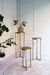Zuil 30x60,5 cm RETIRO licht goud-Plantenstandaards-Light & Living
