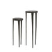 Zuil S/2 30x80+35x100 cm TOBIAS zwart-Plantenstandaards-Light & Living